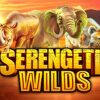 Serengeti Wilds Slot