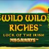 Wild Wild Riches Slot