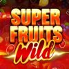 Super Fruits Wild Slot