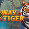 Way of the Tiger Slot