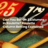 Can You Bet On 2 Columns In Roulette? Roulette Column Betting Explained
