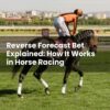 Reverse Forecast Bet Explained: How It Works in Horse Racing