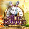 White Rabbit Slot