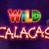 Wild Calacas Slot