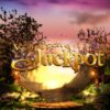 Wish Upon a Jackpot Slot
