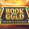 Book of Gold Double Chance Slot