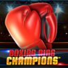 Boxing Ring Champions Slot
