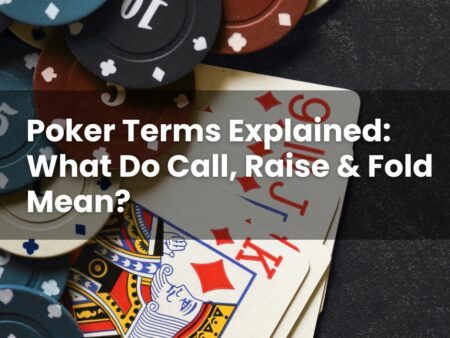Poker Terms Explained: What Do Call, Raise & Fold Mean?