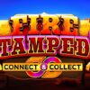 Fire Stampede Slot