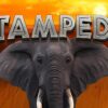 Stampede Slot
