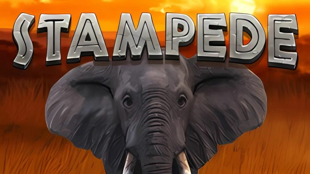Stampede Slot