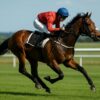 Race Horse Top Speed: How Fast Is a Racehorse Running?