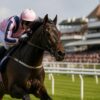 What Does Black Type Mean in Horse Racing? Black Type Explained UK