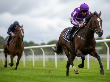Exposed vs Unexposed: What Does Unexposed Mean in Horse Racing?