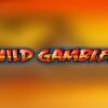 Wild Gambler Slot