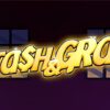 Stash & Grab Slot