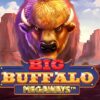 Big Buffalo Megaways Slot