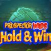 Prospector Wilds Hold and Win Slot